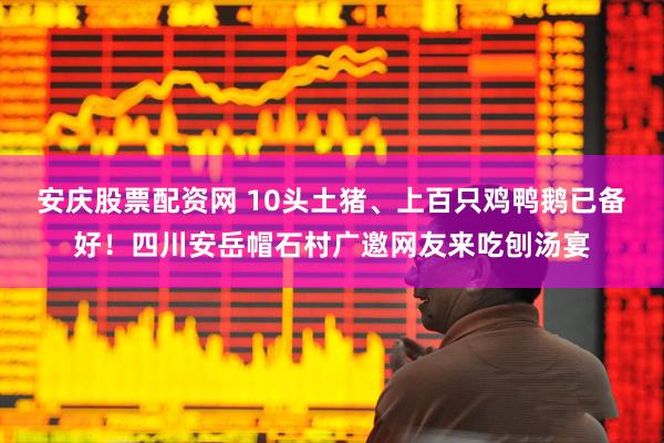 安庆股票配资网 10头土猪、上百只鸡鸭鹅已备好！四川安岳帽石村广邀网友来吃刨汤宴