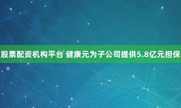 股票配资机构平台 健康元为子公司提供5.8亿元担保