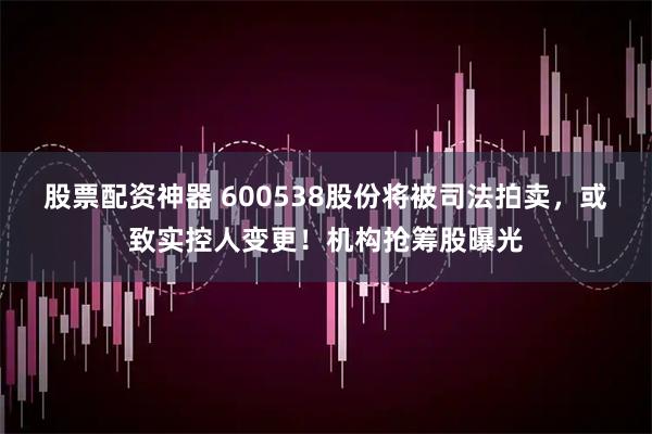 股票配资神器 600538股份将被司法拍卖，或致实控人变更！机构抢筹股曝光