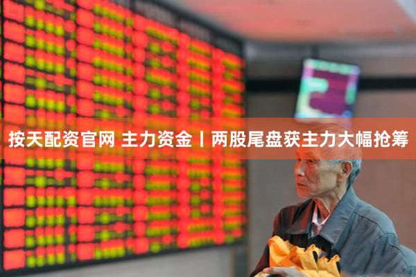 按天配资官网 主力资金丨两股尾盘获主力大幅抢筹